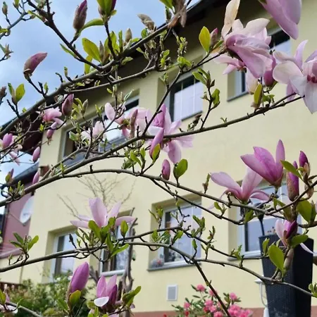 Apartamento Aschbergblick